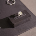 Vignette Jewelry Display Set — Dark Gray 24 Pieces