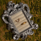 Rococo Silver Jewelry Display Frame: Suede Ring & Earring Holder